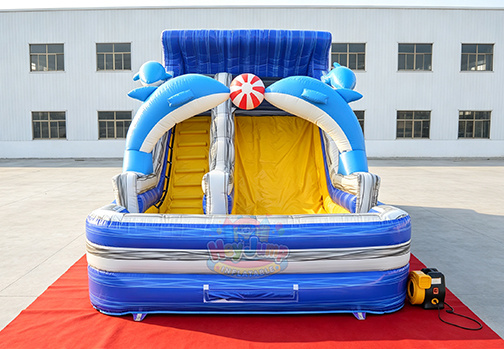 HJWS005 Dolphin Slide