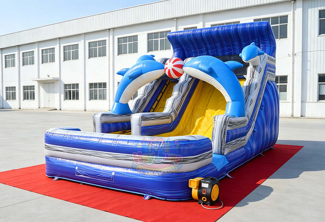 HJWS005 Dolphin Slide