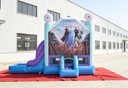 Customizable Inflatable Frozen Combo